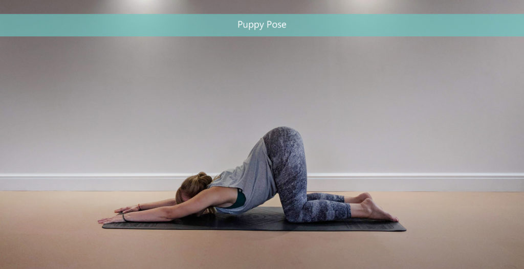 Puppy Pose - Yoga