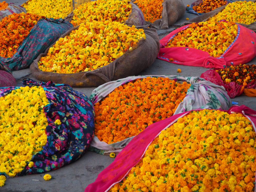 Bags of marigold flowers