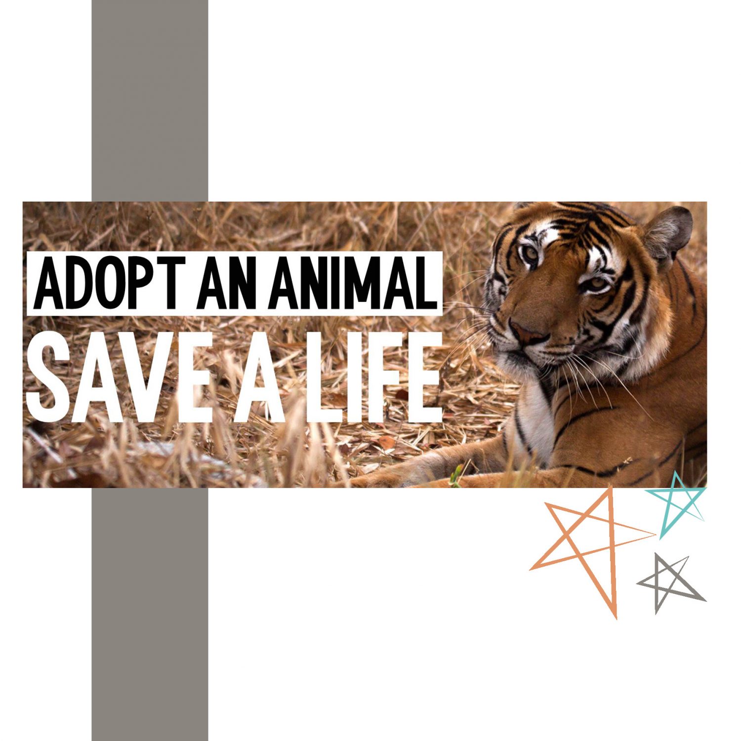 Born Free Adopt a Tiger