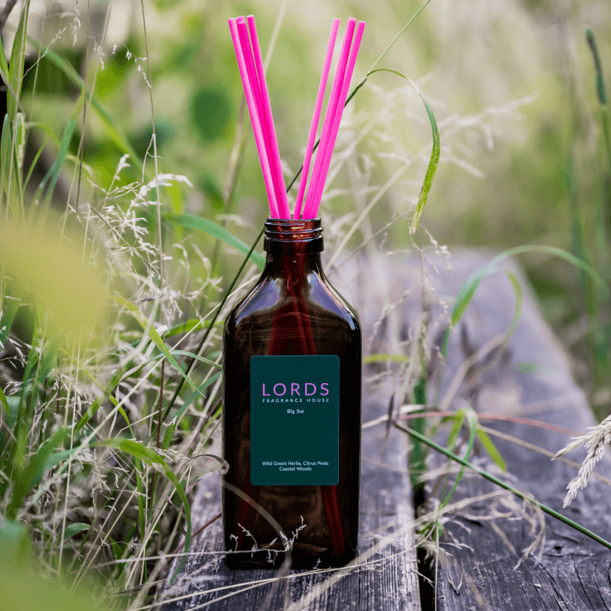 lords fragrance house big sur reed diffuser in the yogipod christmas gift guide