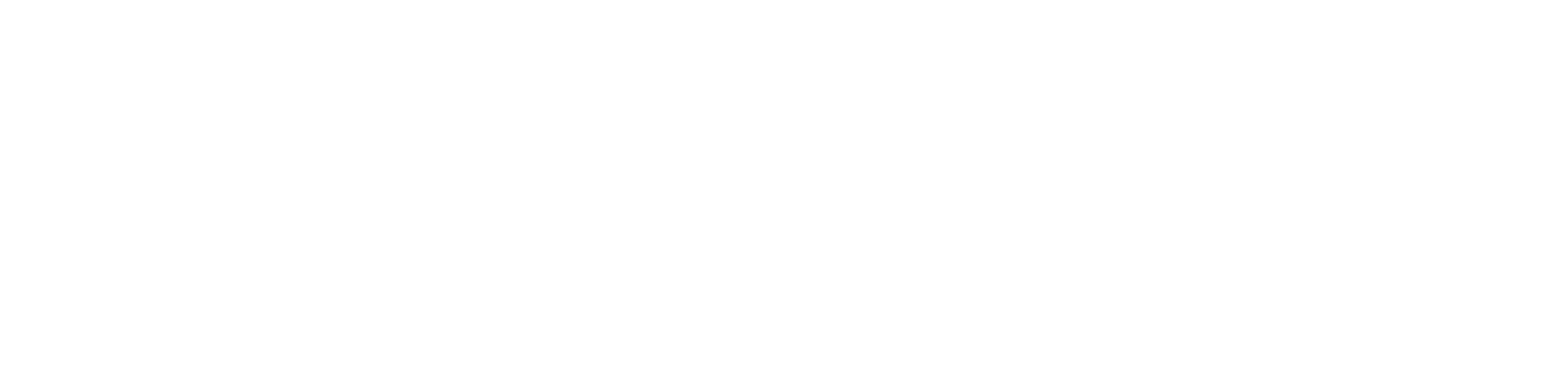 stylist logo